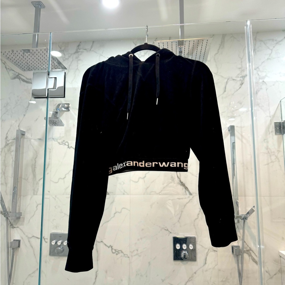 Alexander wang hoodie